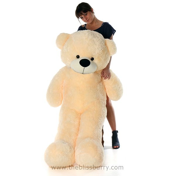 teddy bear for 5 feet