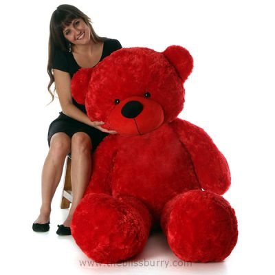 teddy bear 5.6 feet